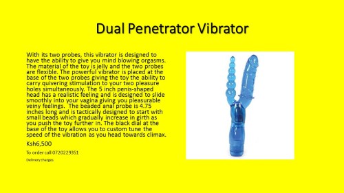 dual-penetrator-vibrator